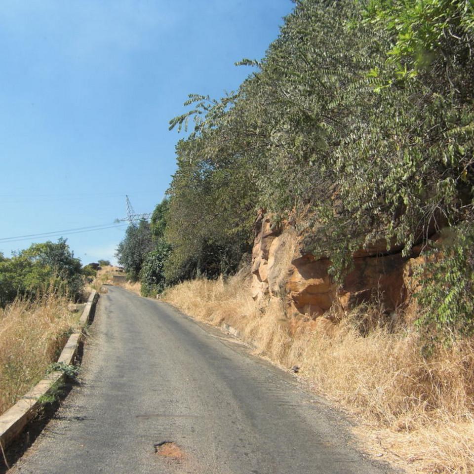 105.JPG
