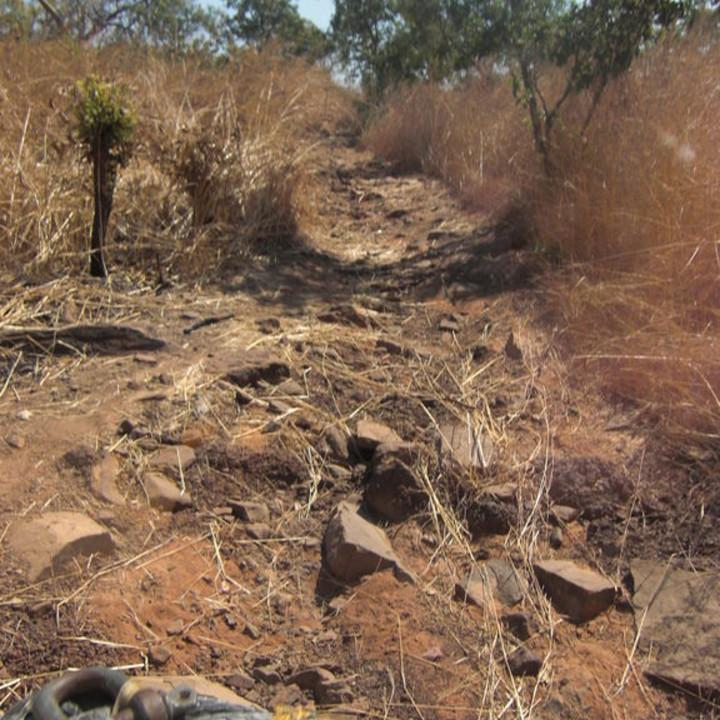 121.JPG