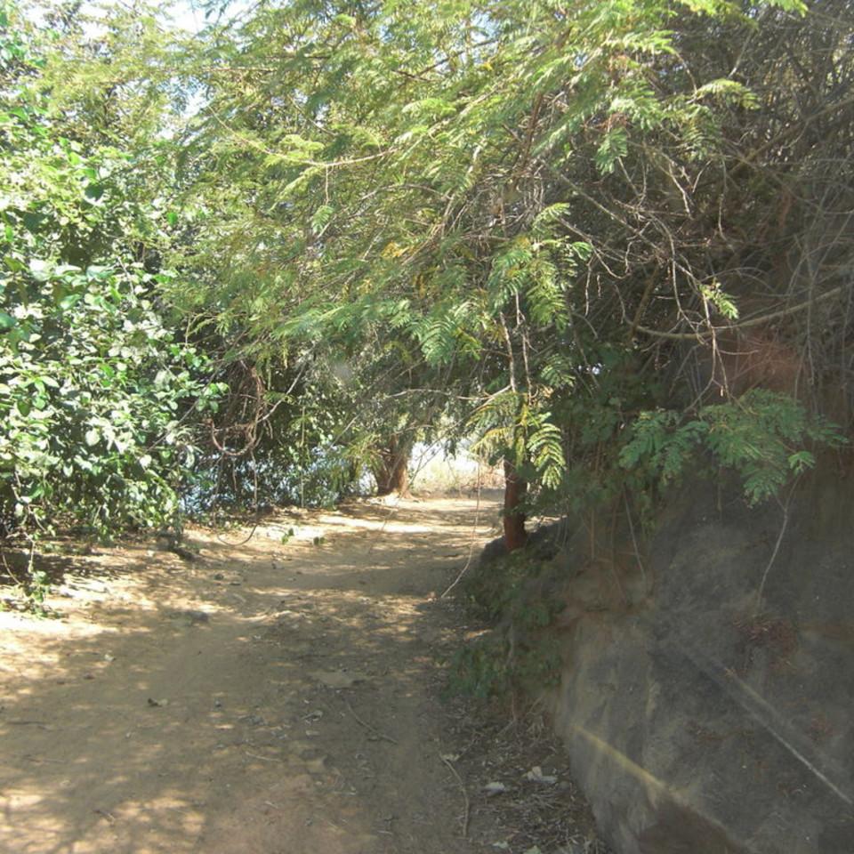 135.JPG