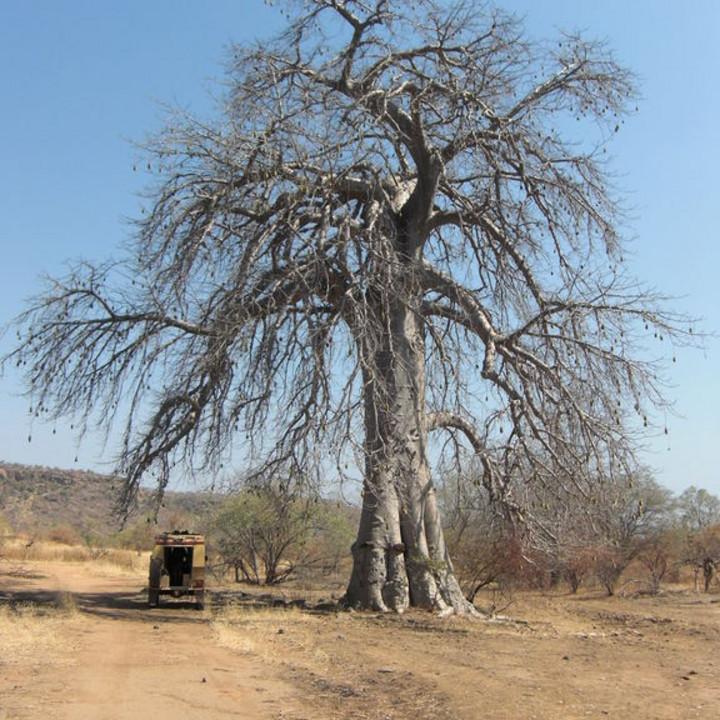 136.JPG