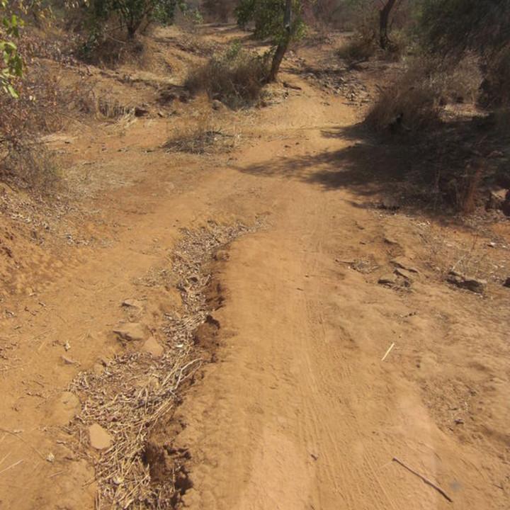 139.JPG