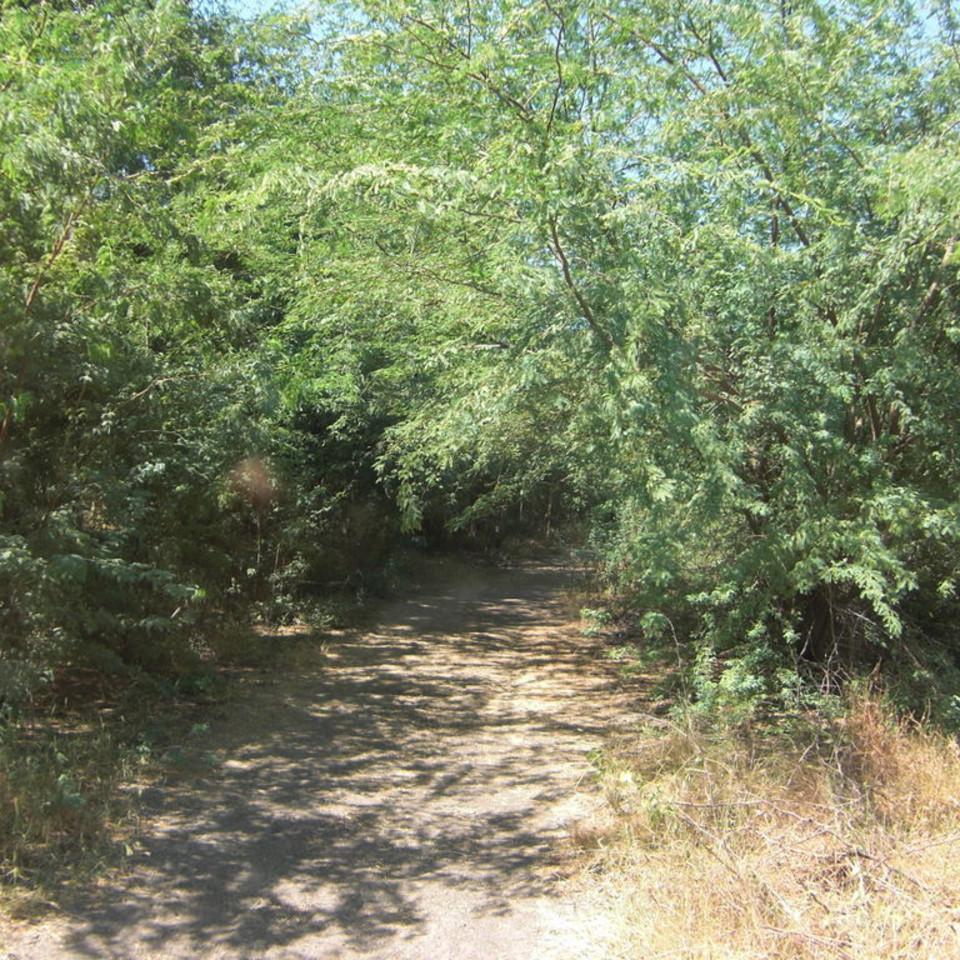 153.JPG