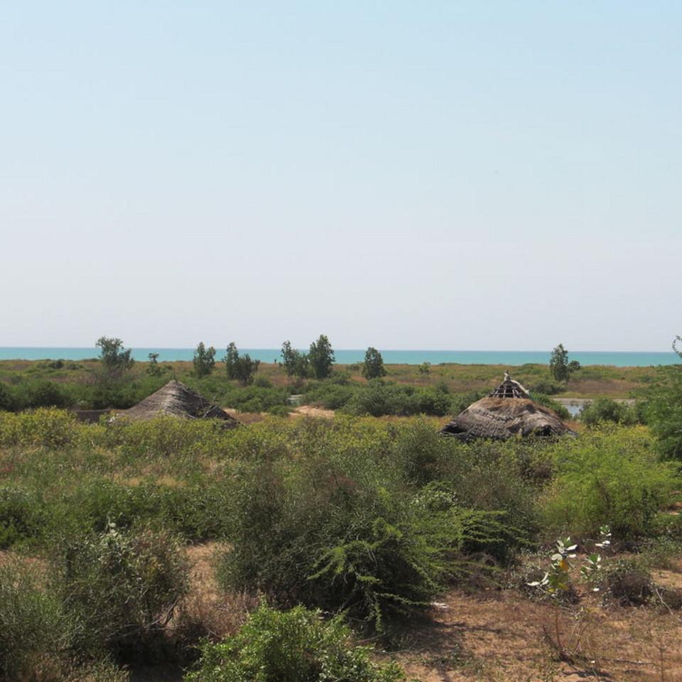 154.JPG