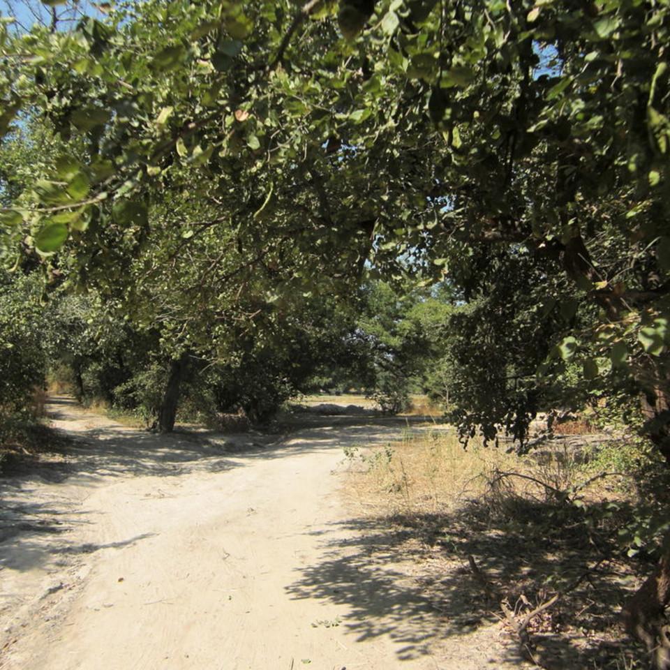 105.JPG
