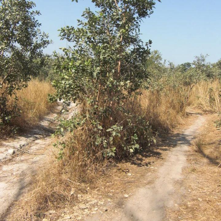 106.JPG
