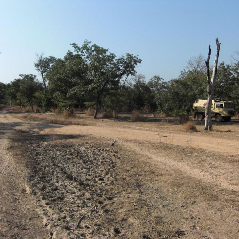 113.JPG