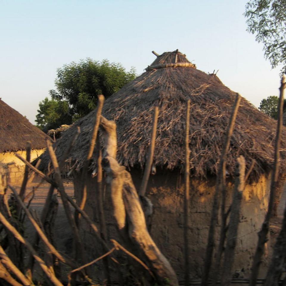 115.JPG