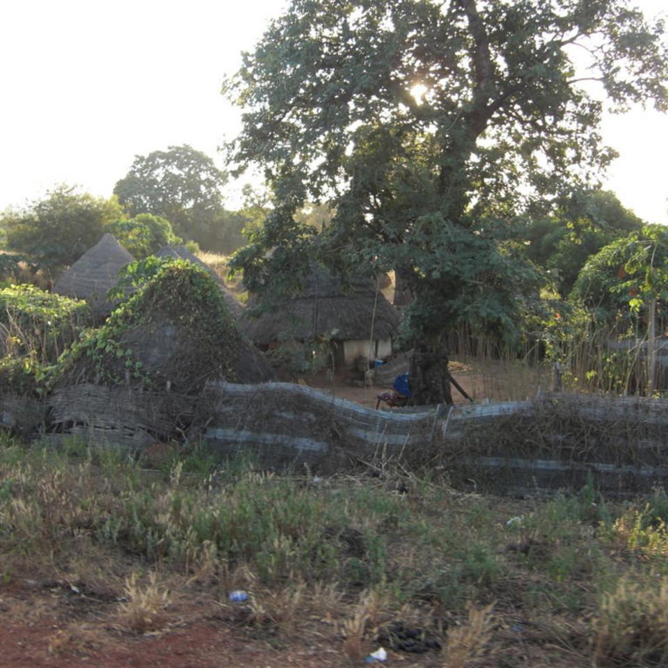 124.JPG