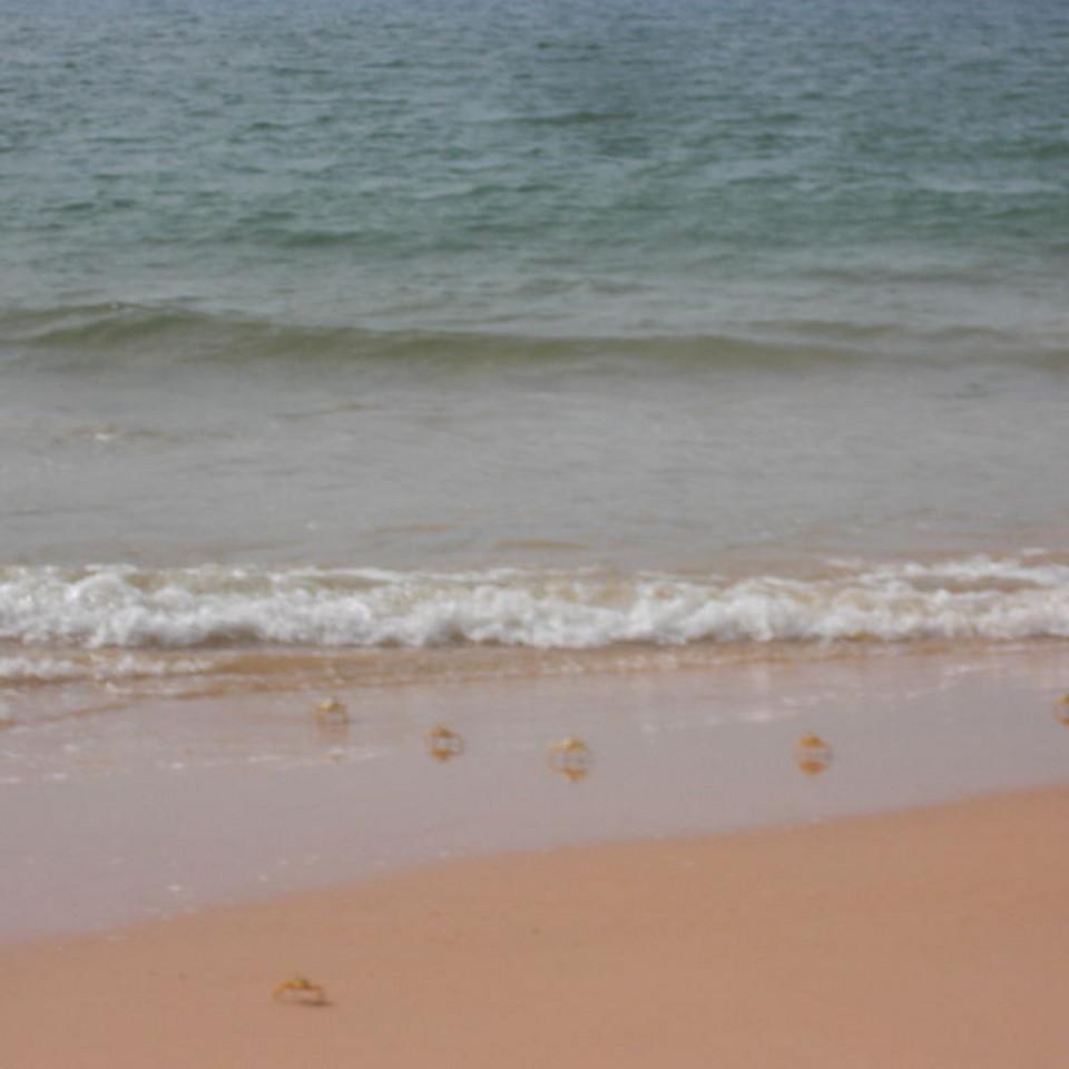 108.JPG