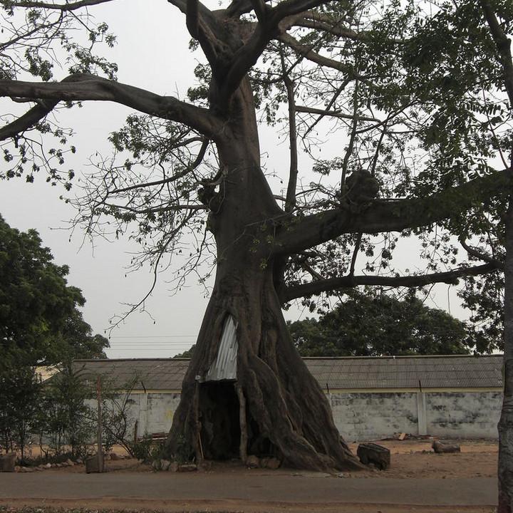 118.JPG