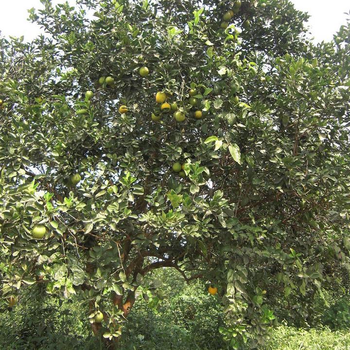 123.JPG