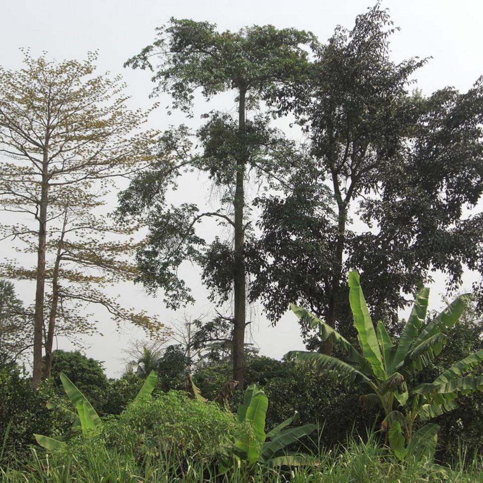 124.JPG