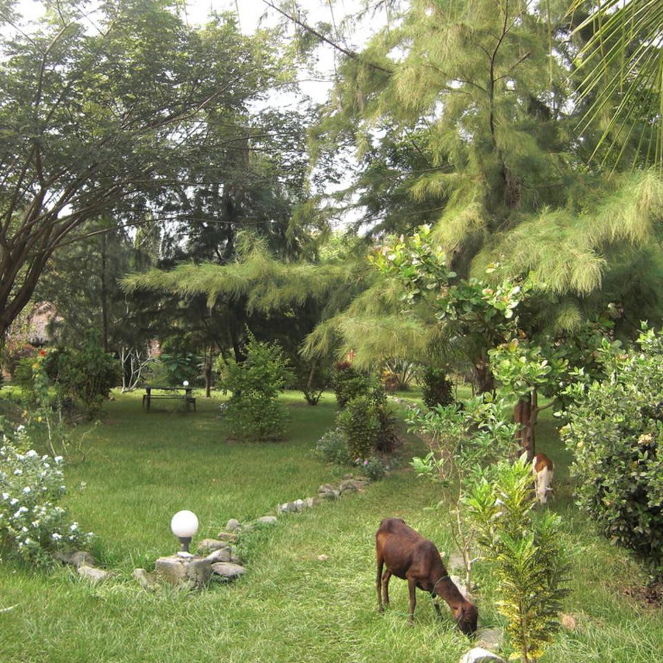 133.JPG