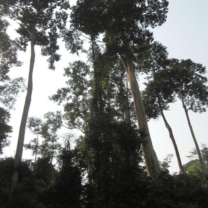 141.JPG