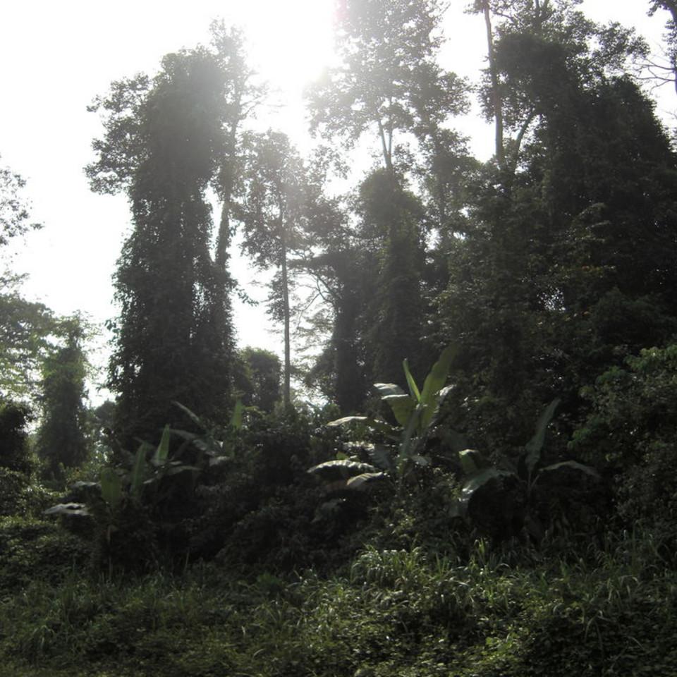 142.JPG