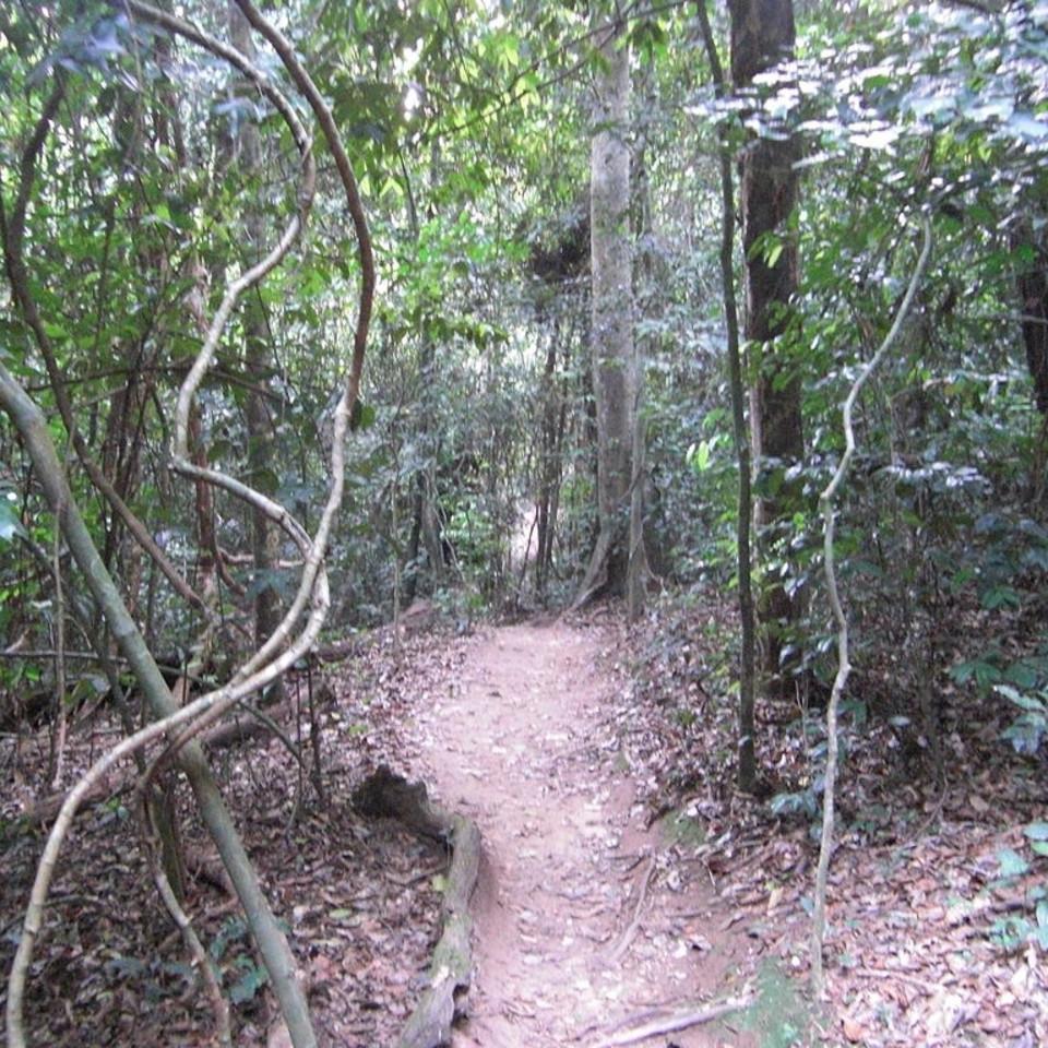 145.JPG