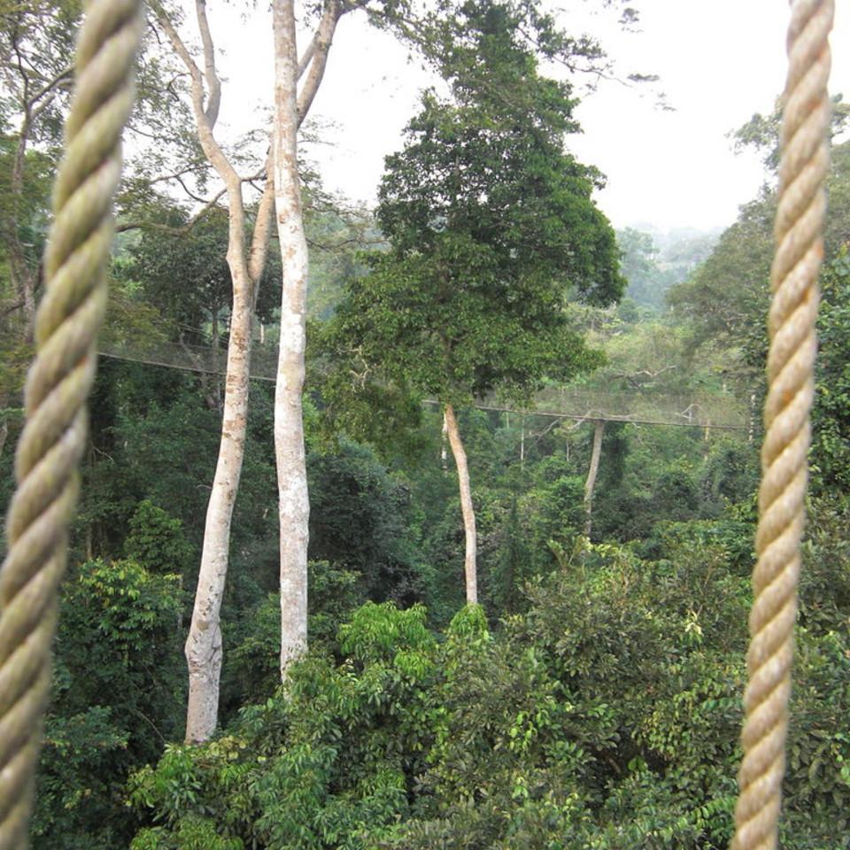 158.JPG