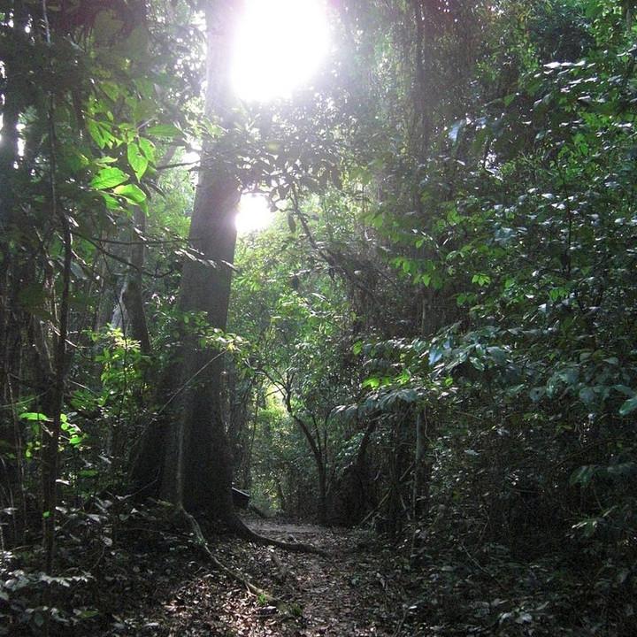 164.JPG