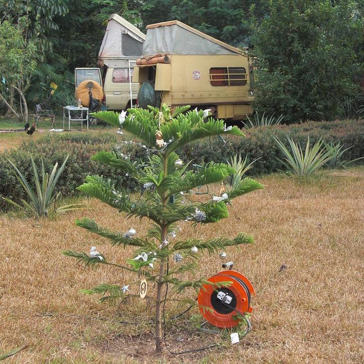 193.JPG