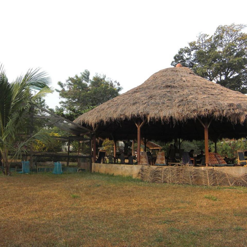196.JPG