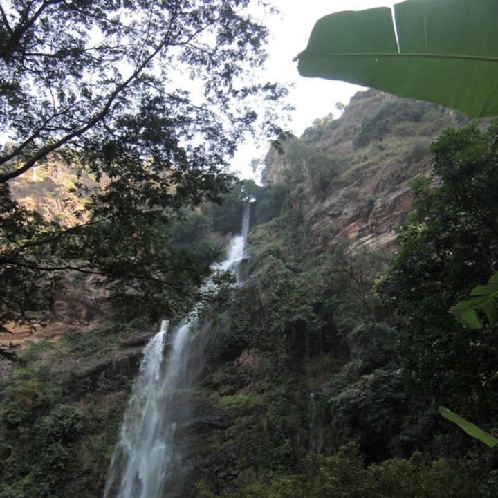 207.JPG