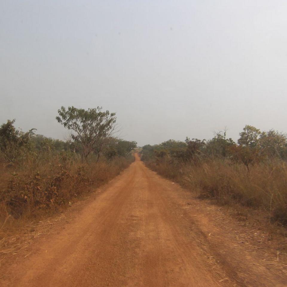 256.JPG