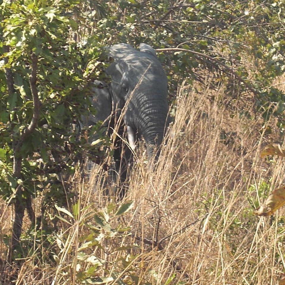 110.JPG