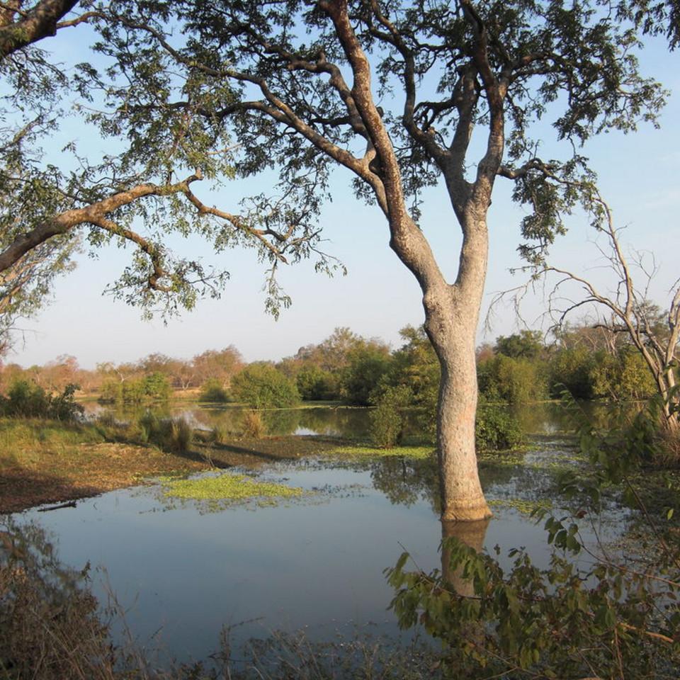 117.JPG