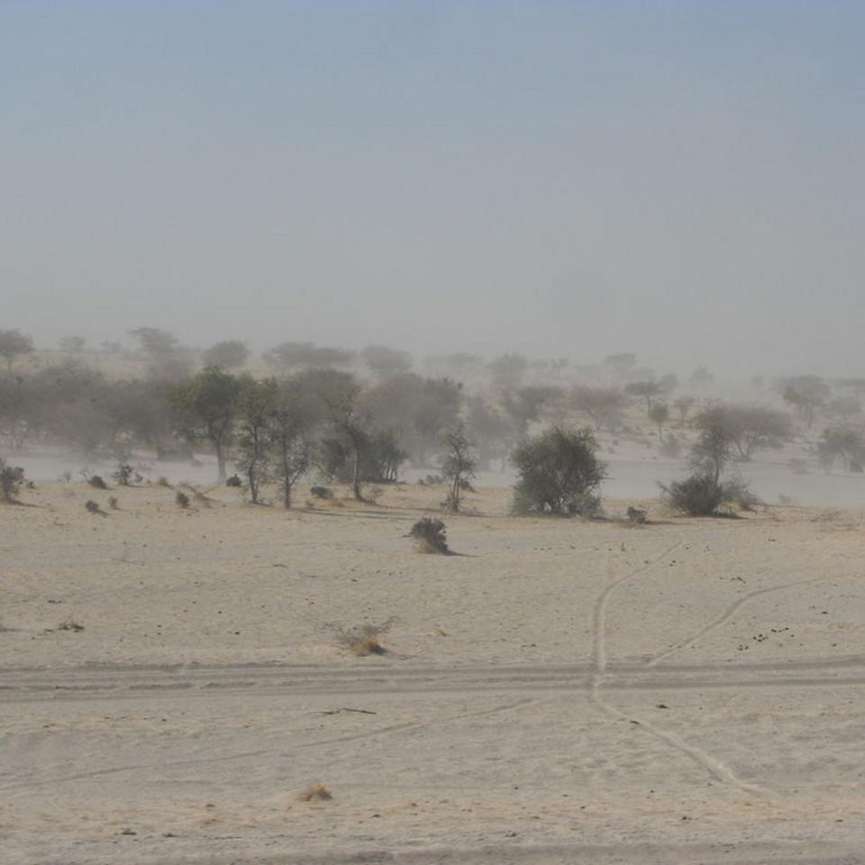 110.JPG