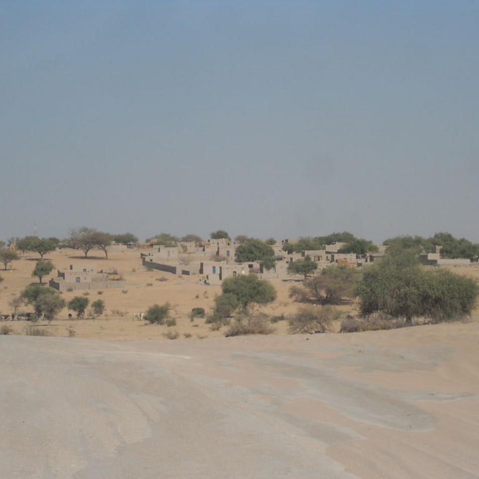 114.JPG