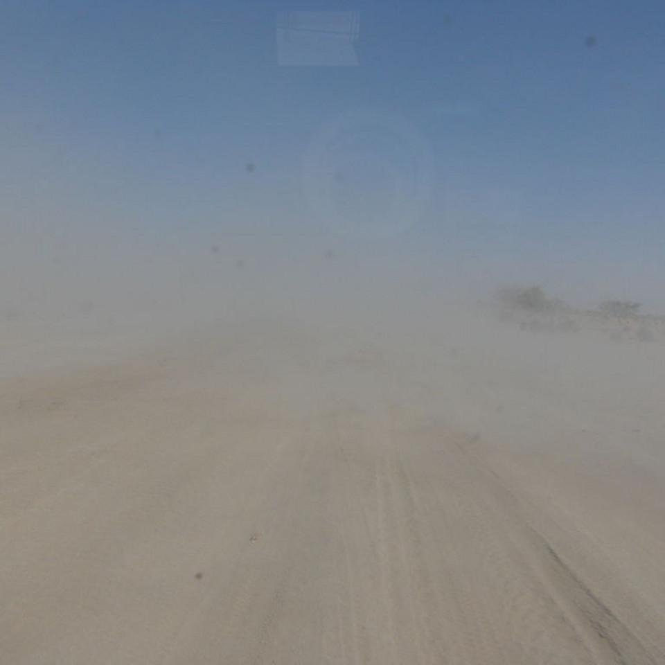119.JPG