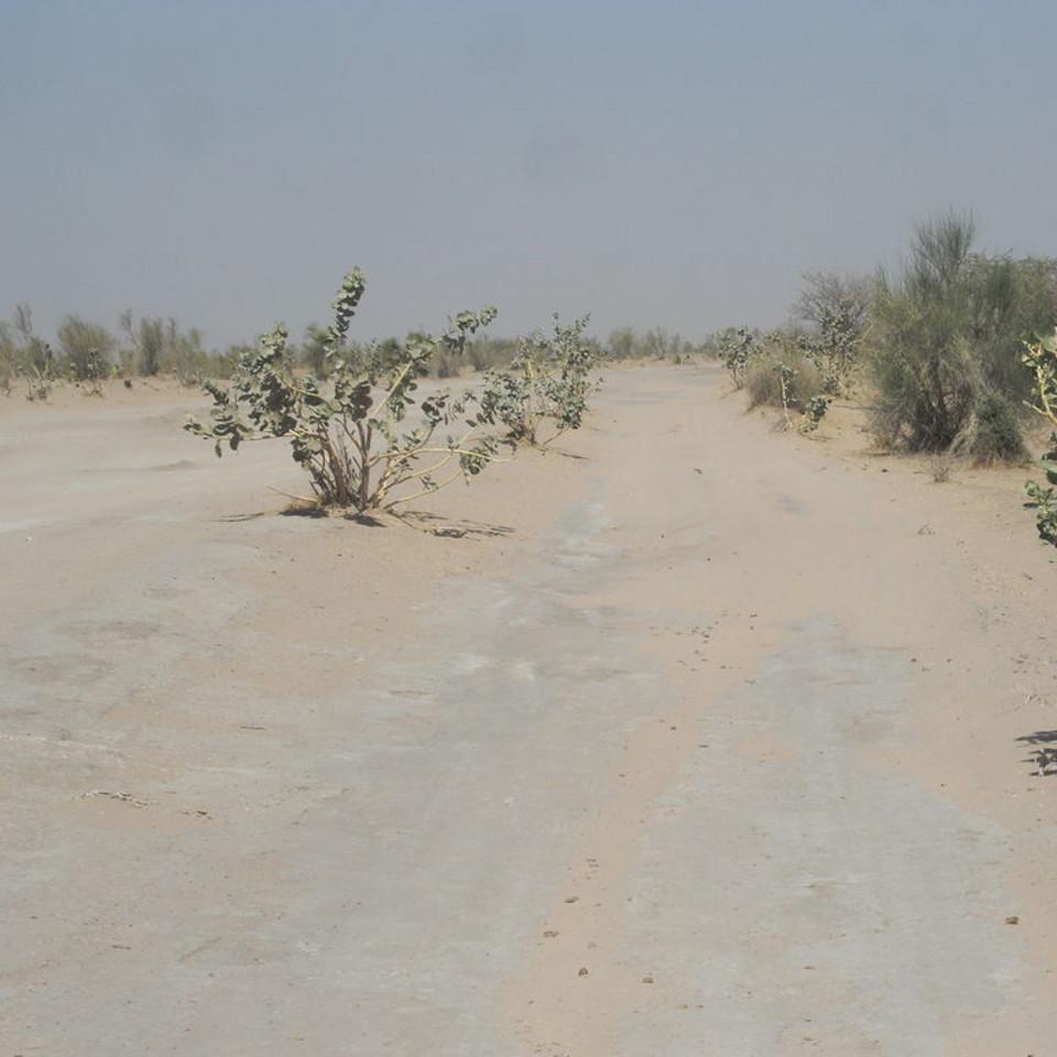 121.JPG