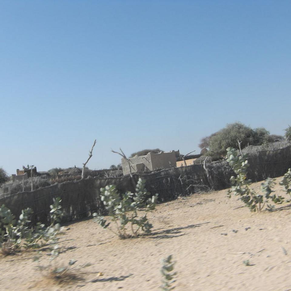 143.JPG