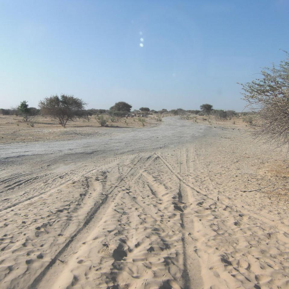 146.JPG