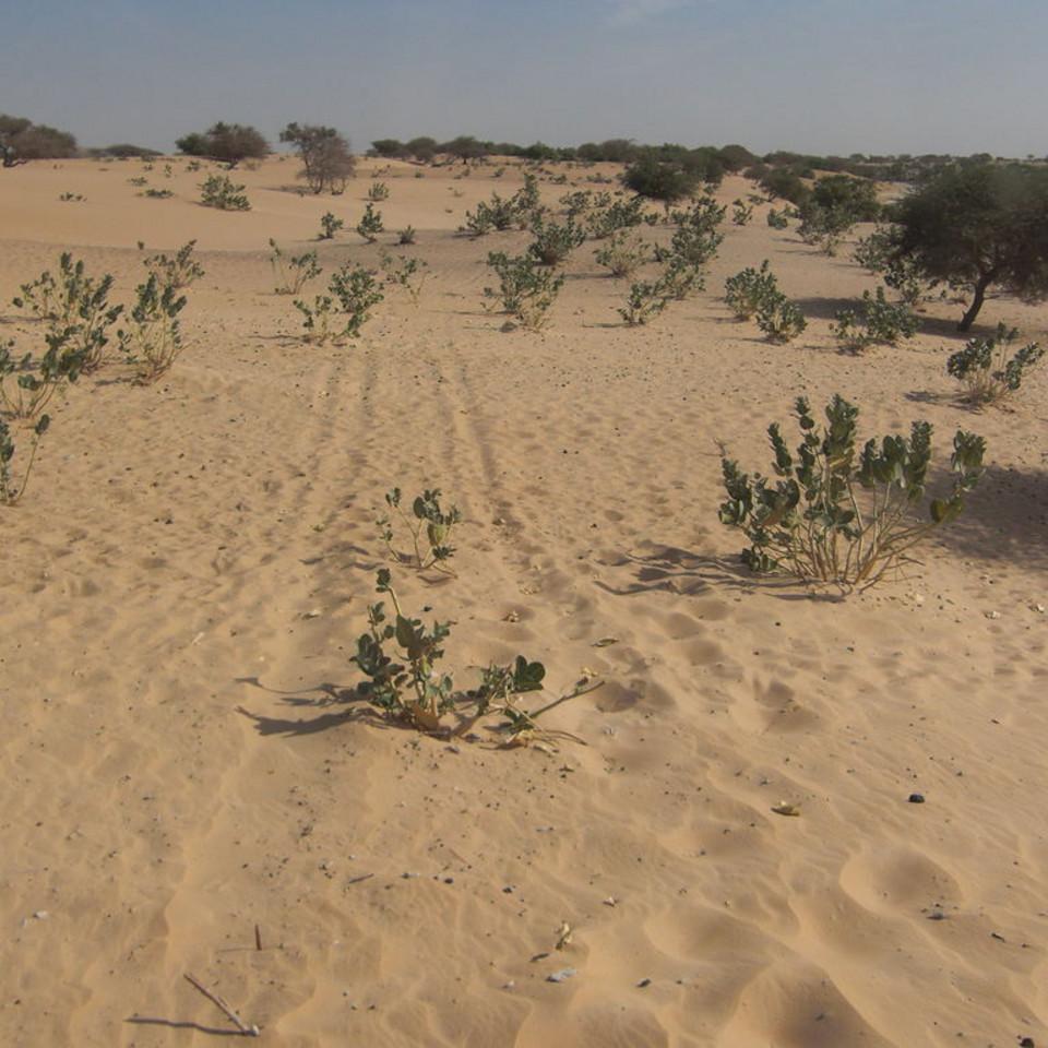 155.JPG