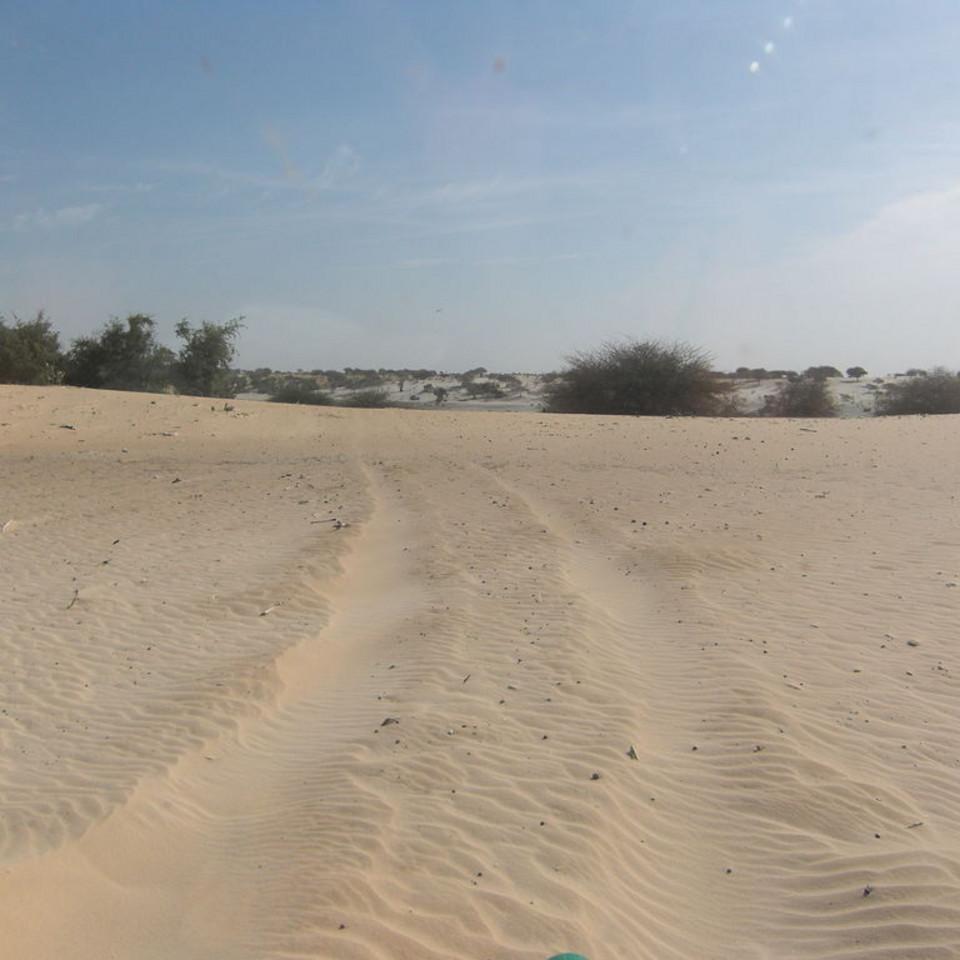156.JPG