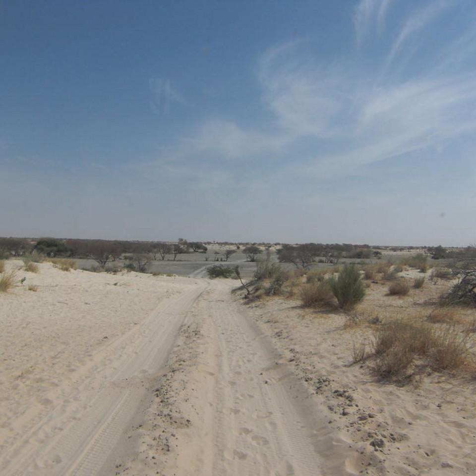 159.JPG