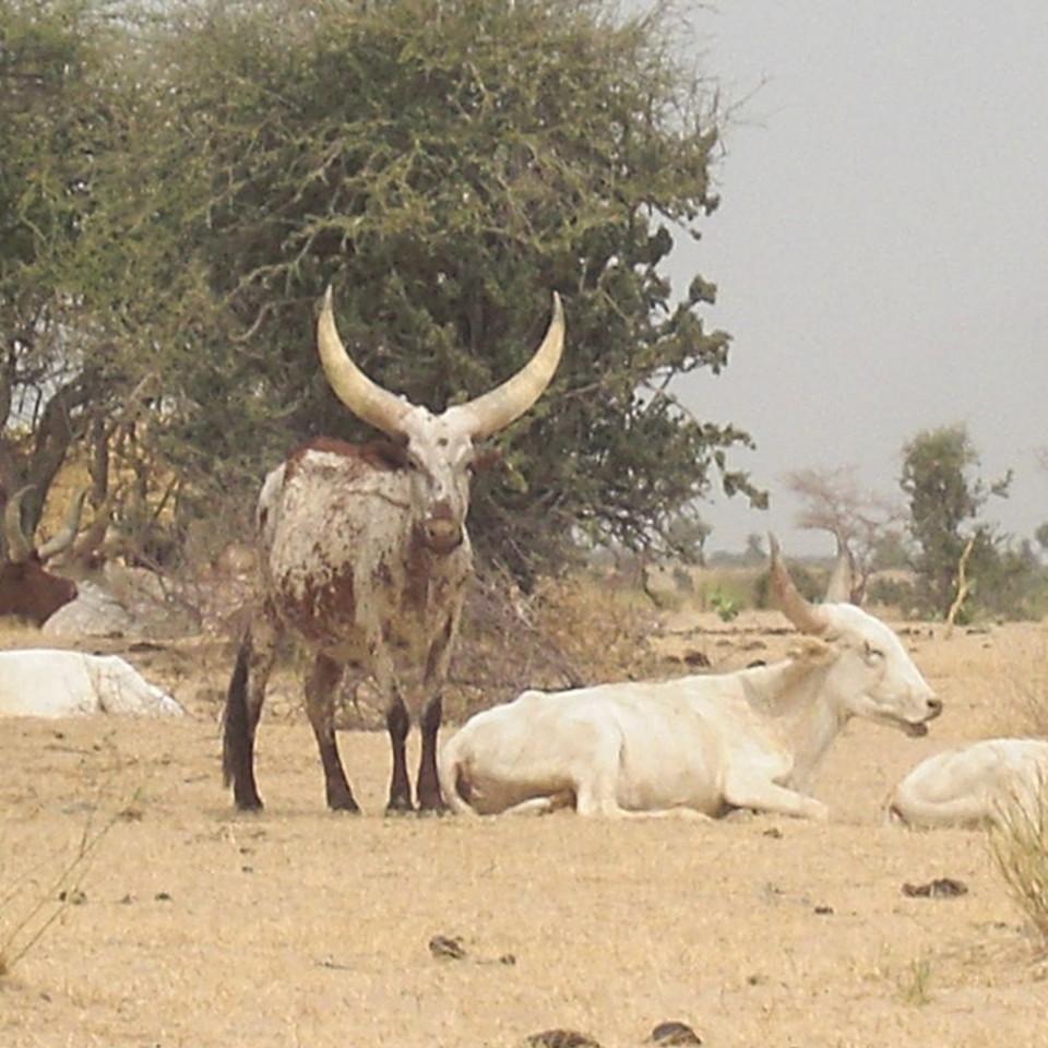 161.JPG