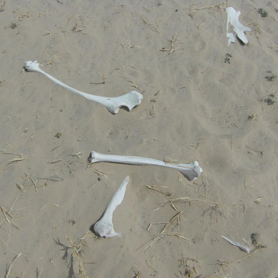 166.JPG