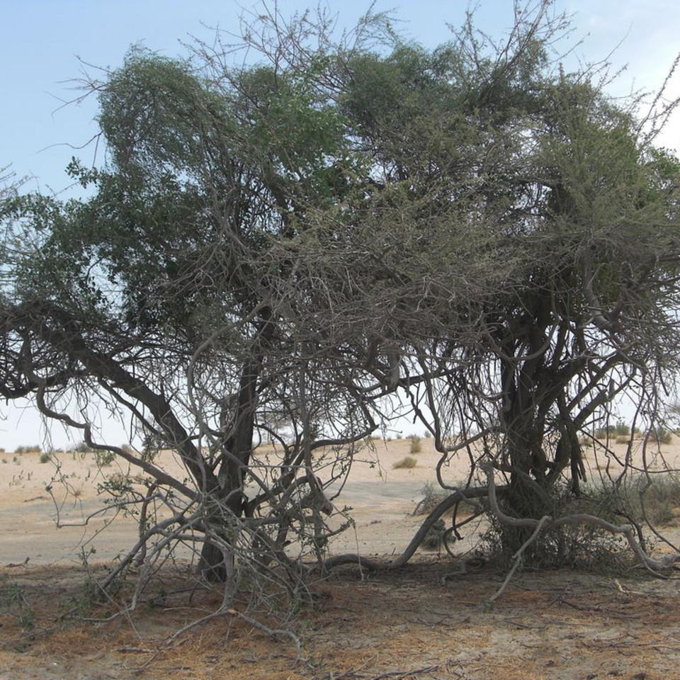 167.JPG