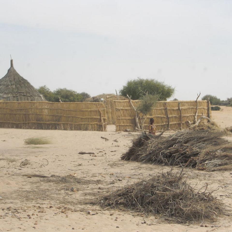 169.JPG