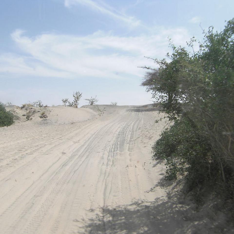175.JPG