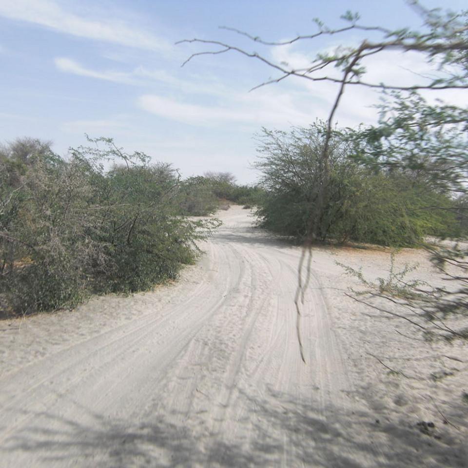 176.JPG