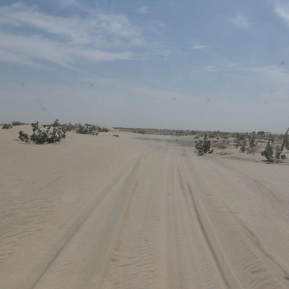 177.JPG