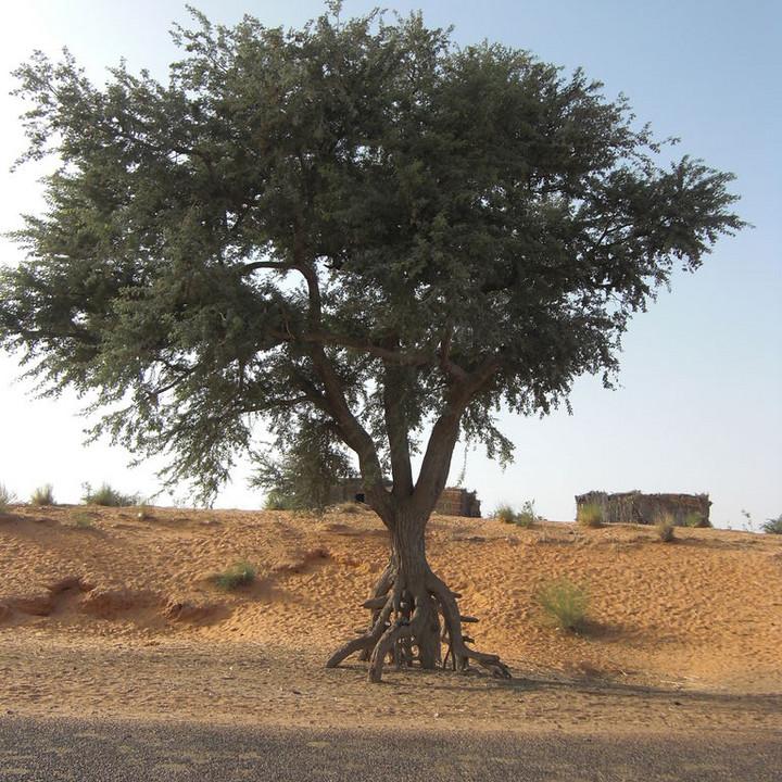 142.JPG