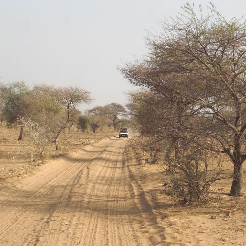 154.JPG