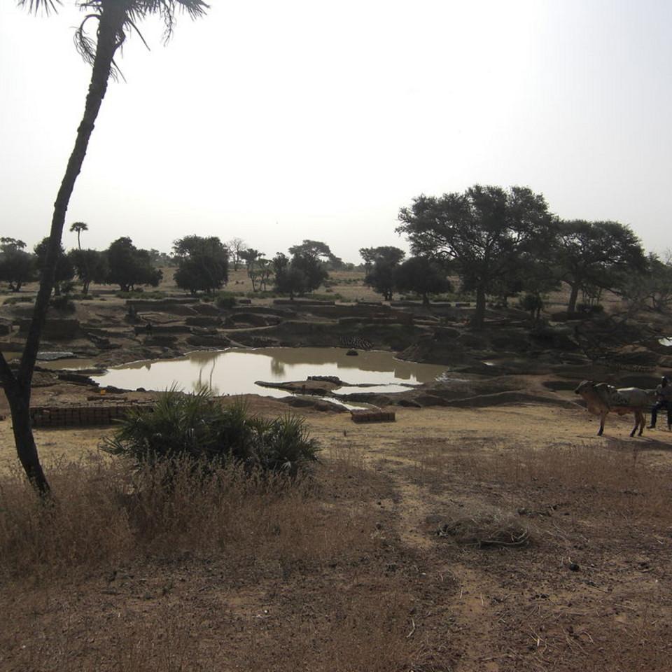 158.JPG