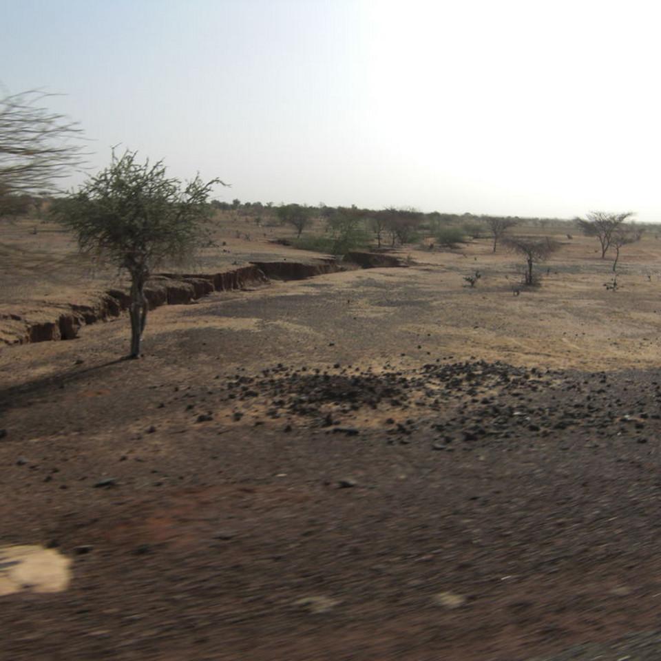 163.JPG