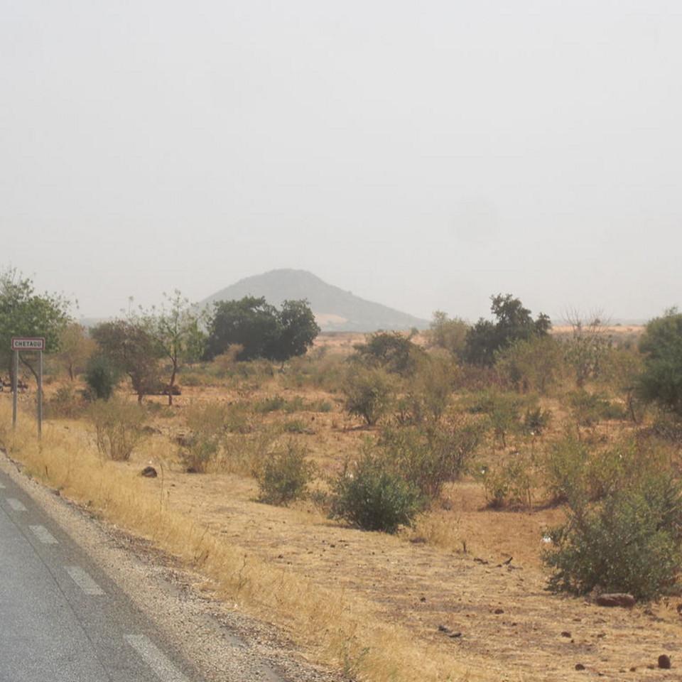 167.JPG