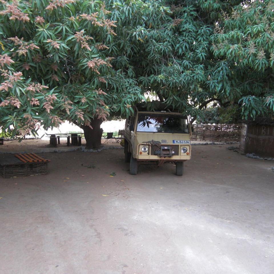 181.JPG